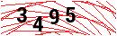 Security Verification