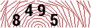 Security Verification