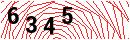 Security Verification