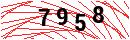 Security Verification