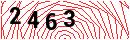 Security Verification