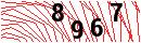 Security Verification