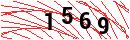 Security Verification