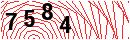 Security Verification