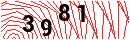 Security Verification