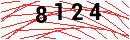 Security Verification