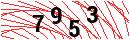 Security Verification