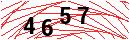 Security Verification