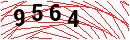 Security Verification