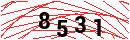 Security Verification