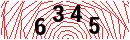 Security Verification