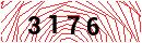 Security Verification