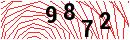 Security Verification