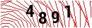 Security Verification