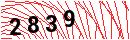 Security Verification