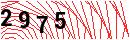 Security Verification