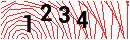 Security Verification