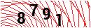 Security Verification
