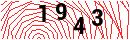 Security Verification