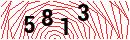Security Verification