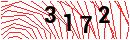 Security Verification