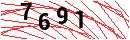 Security Verification