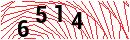 Security Verification