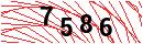 Security Verification