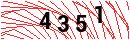 Security Verification
