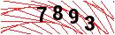 Security Verification