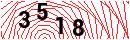 Security Verification