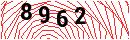 Security Verification