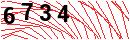 Security Verification