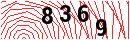 Security Verification