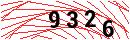 Security Verification