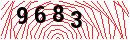 Security Verification