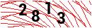 Security Verification