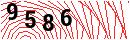 Security Verification