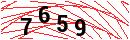 Security Verification