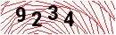 Security Verification