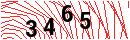 Security Verification