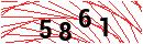 Security Verification