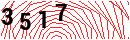Security Verification
