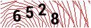 Security Verification