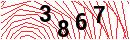 Security Verification