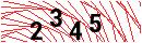 Security Verification