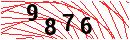 Security Verification