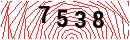 Security Verification