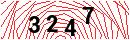 Security Verification