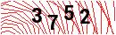 Security Verification